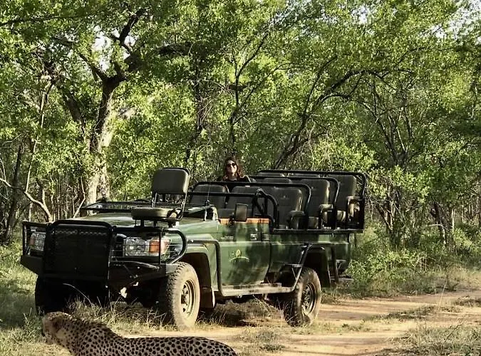 Karongwe Portfolio- Shiduli Private Game Lodge