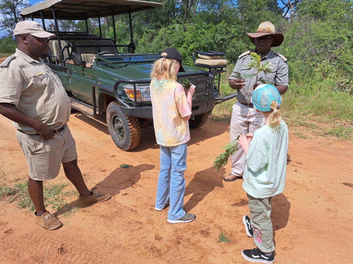Karongwe Portfolio- Shiduli Private Game Lodge *
