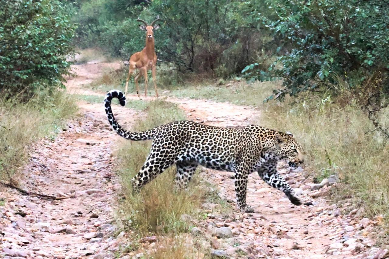 Lodge Karongwe Portfolio- Shiduli Private Game *