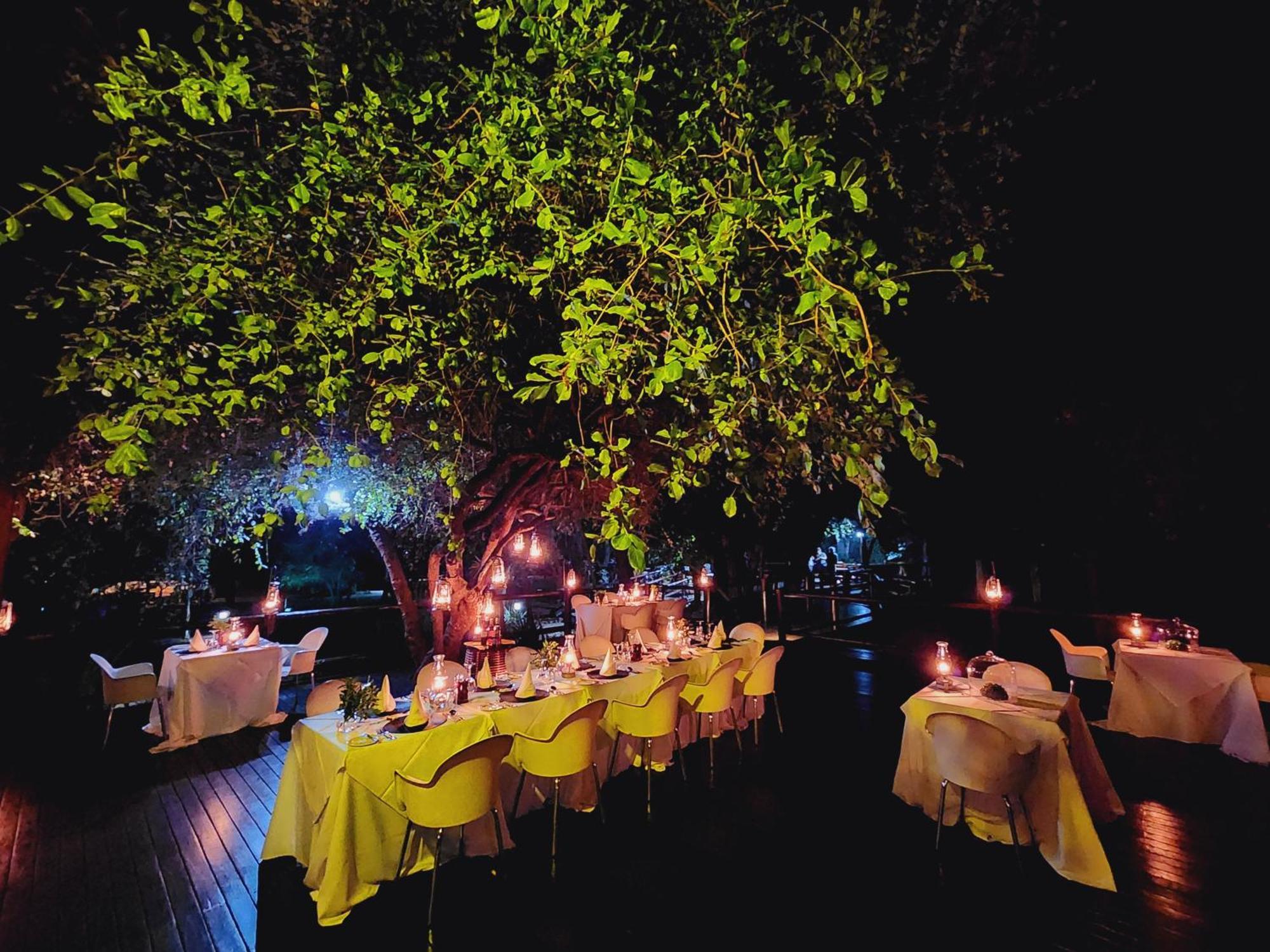 Karongwe Portfolio- Shiduli Private Game