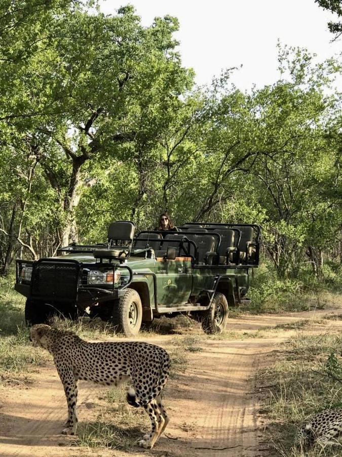 Lodge Karongwe Portfolio- Shiduli Private Game *